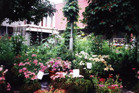 Ботанический сад Краевого Дворца